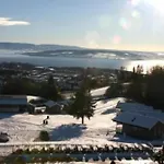 Hedmarktoppen Хамар